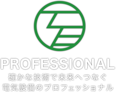 PROFESSIONAL